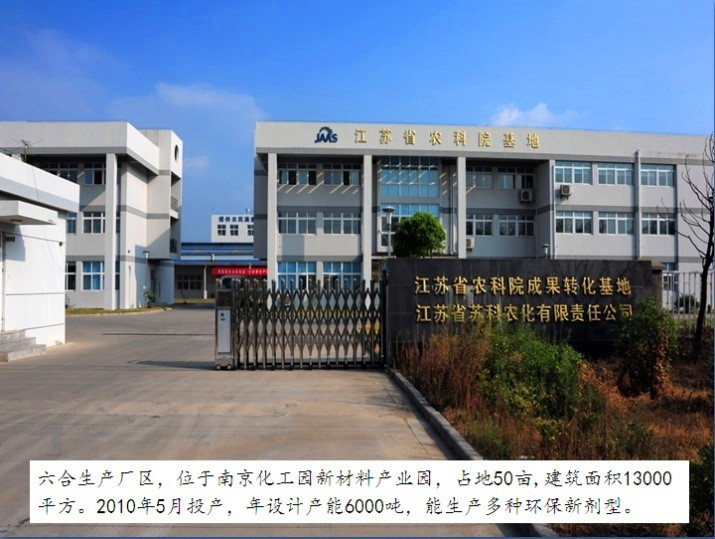 开云(中国)